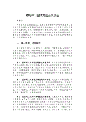 市局审计整改专题会议讲话.docx