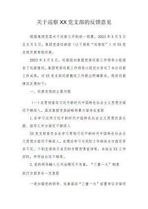 关于巡察XX公司党支部的反馈意见.docx