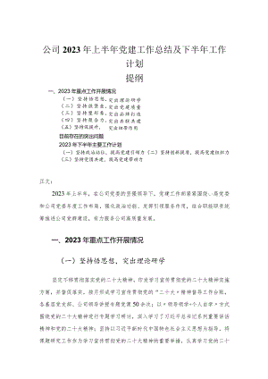 公司2023年上半年党建工作总结及下半年工作计划.docx