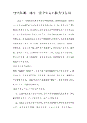 包钢集团：对标一流企业齐心协力强包钢.docx