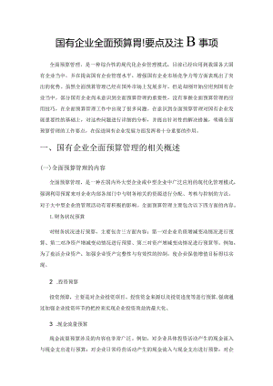 国有企业全面预算管理要点及注意事项.docx