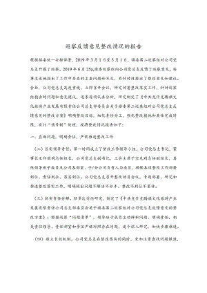 巡察反馈意见整改情况的报告.docx