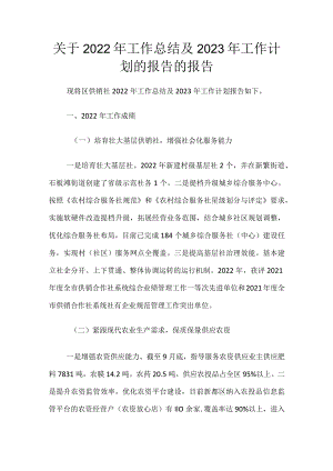 关于2022年工作总结及2023年工作计划的报告的报告.docx