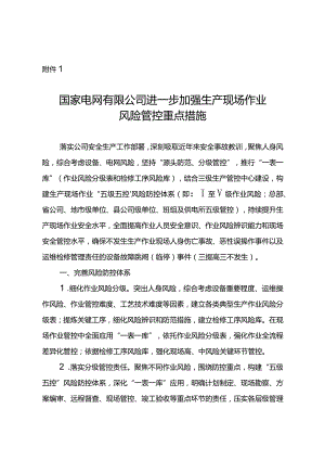 国家电网有限公司进一步加强生产现场作业风险管控重点措施.docx