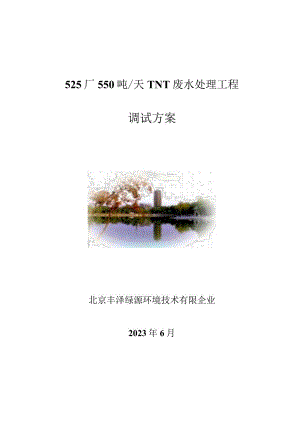 废水处理厂调试方案.docx