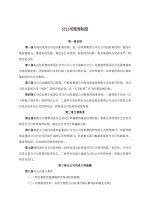 分公司管理制度.docx