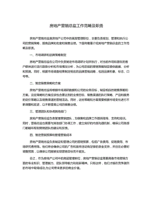 房地产营销总监工作范畴及职责.docx