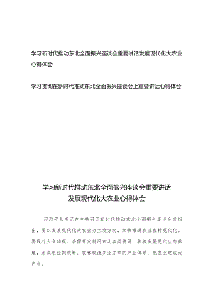 学习贯彻在新时代推动东北全面振兴座谈会上重要讲话心得体会2篇.docx