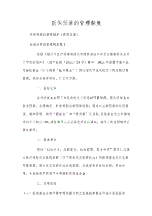 医保预算的管理制度.docx