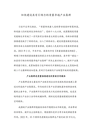 加快建设具有引领力的质量卓越产业集群.docx