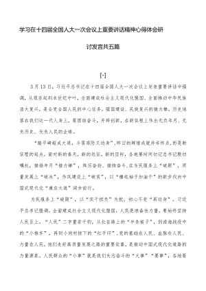 学习在十四届全国人大一次会议上重要讲话精神心得体会研讨发言共五篇.docx