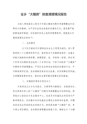 全乡“大棚房”排查清理情况报告.docx