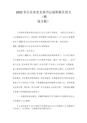 2022非公企业党支部书记述职报告范文(精选3篇).docx