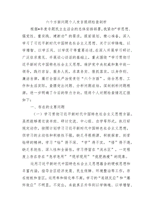 六个方面问题个人发言提纲检查剖析.docx