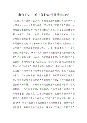 市金融办三抓三促行动开展情况总结.docx