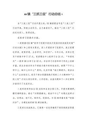 xx镇“三抓三促”行动总结2篇.docx