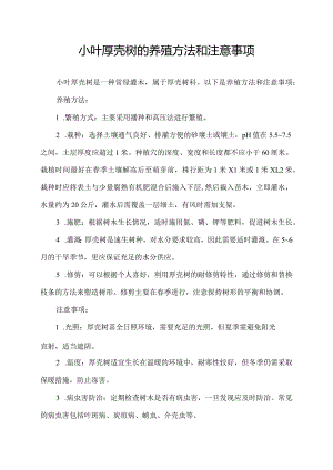 小叶厚壳树的养殖方法和注意事项.docx