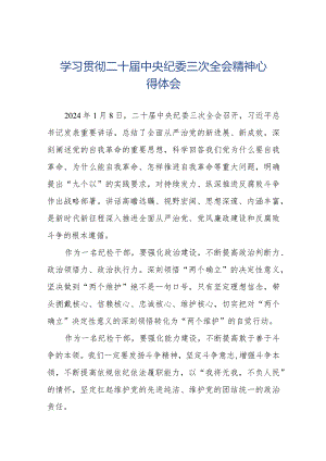 二十届中央纪委三次全会精神学习体会(25篇).docx