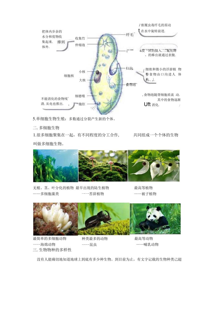 2.6物种的多样性（讲义）（解析版）.docx_第2页