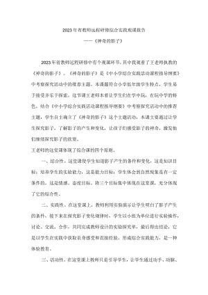 2023年省教师远程研修综合实践观课报告《神奇的影子》.docx