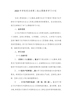 2023年学校党支部第二批主题教育学习计划.docx