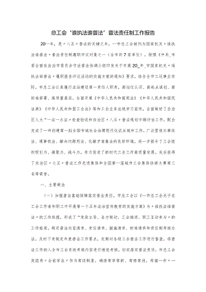 总工会“谁执法谁普法”普法责任制工作报告.docx