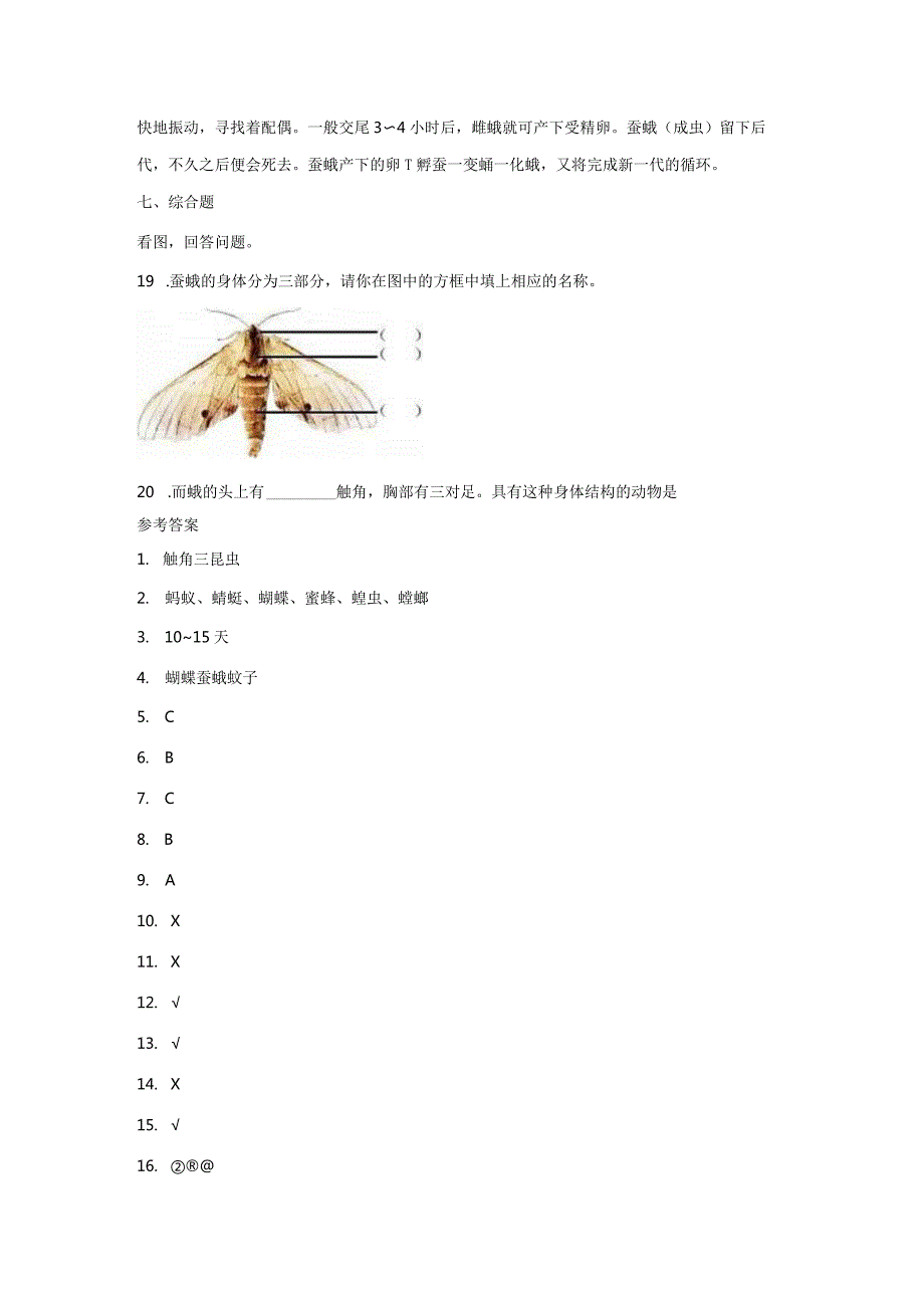 2-5茧中钻出了蚕蛾（练习）-2021-2022学年科学三年级下册.docx_第3页