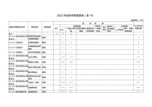 2022年政府采购预算表(表10).docx