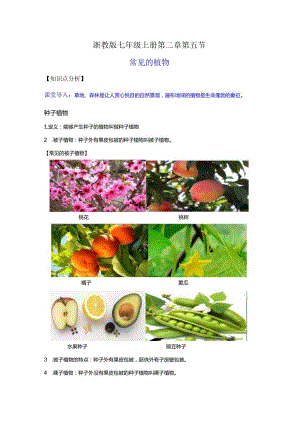 2.5常见的植物（讲义）（解析版）.docx