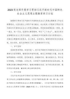 2023党支部开展主题教育学习计划学习方案.docx