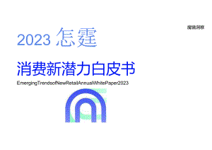 2023年度消费新潜力白皮书.docx