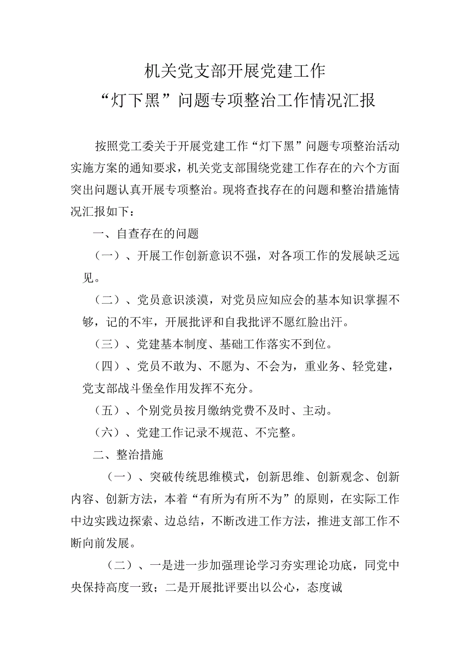 灯下黑自查报告.docx_第1页