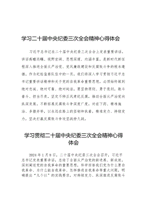 纪检干部关于学习贯彻2024年二十届中央纪委三次全会精神的心得体会(25篇).docx