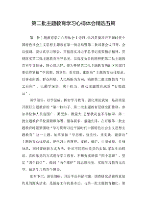 第二批主题教育学习心得体会精选五篇.docx