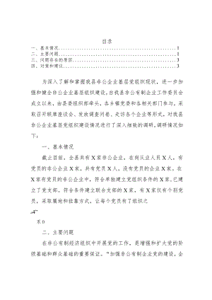 2022年度非公企业党建工作调研报告范文.docx