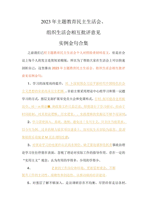 2023年主题教育民主生活会、组织生活会相互批评意见实例金句合集.docx