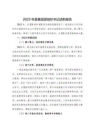 2023年度基层团组织书记述职报告.docx