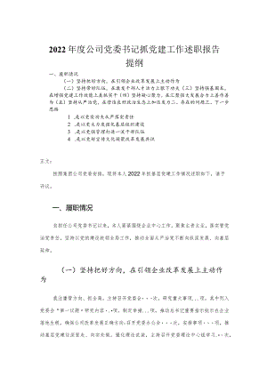 2022年度公司党委书记抓党建工作述职报告.docx