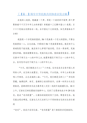 铸牢中华民族共同体意识发言稿六篇.docx