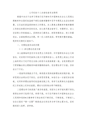 公司纪检个人自查检查发言提纲.docx