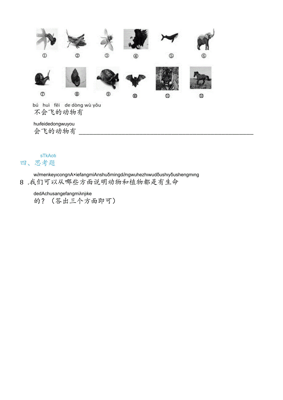 2-6给动物分类（练习）一年级下册科学教科版.docx_第2页