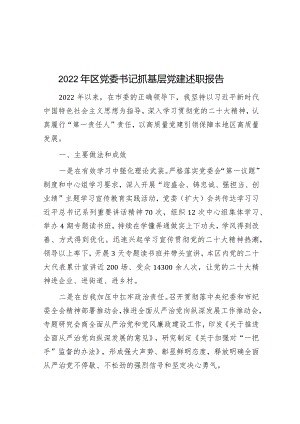 2022年区党委书记抓基层党建述职报告.docx