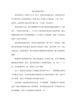 淘宝的成长经历.docx