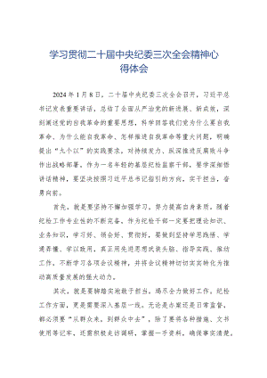 纪检干部关于学习二十届中央纪委三次全会精神的心得体会(25篇).docx