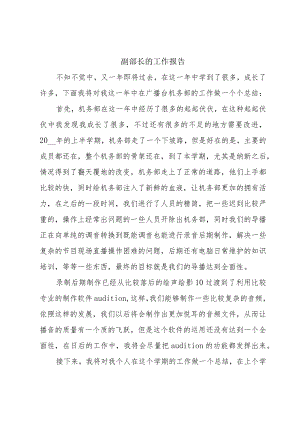 副部长的工作报告.docx