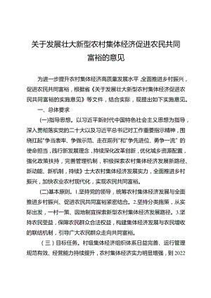 关于发展壮大新型农村集体经济促进农民共同富裕的意见.docx