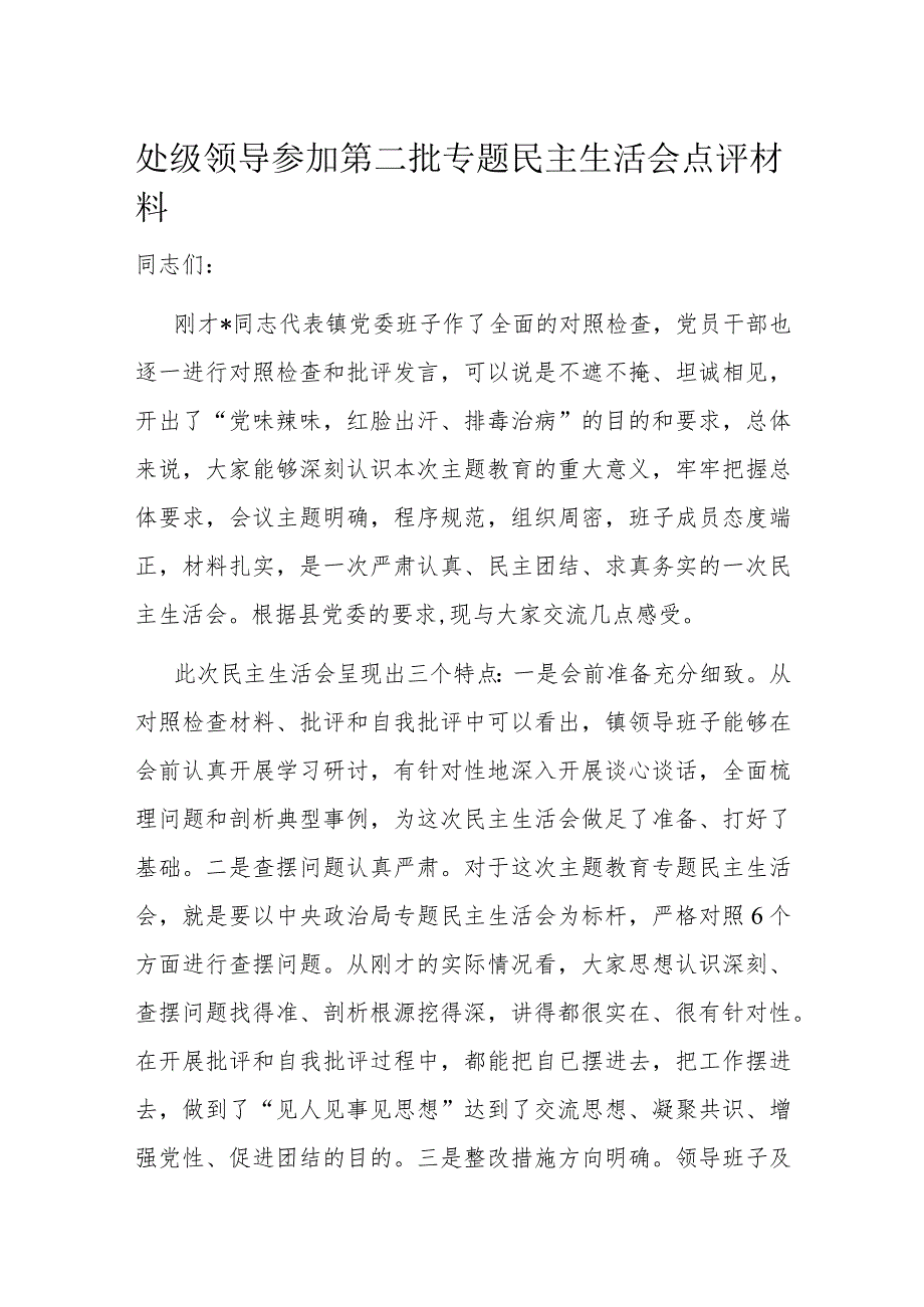 处级领导参加第二批专题民主生活会点评材料.docx_第1页