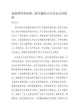 处级领导参加第二批专题民主生活会点评材料.docx