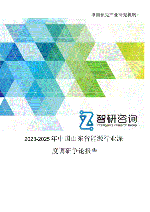 2023年-2025年中国山东省能源行业深度调研研究报告.docx