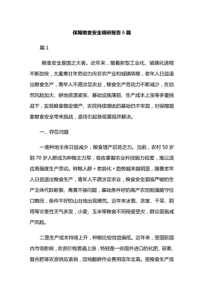 保障粮食安全调研报告6篇.docx